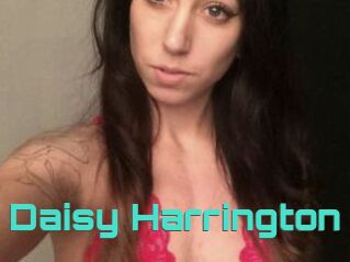 Daisy_Harrington