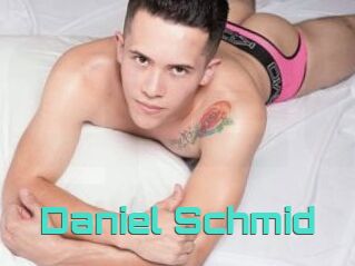 Daniel_Schmid