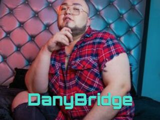 DanyBridge