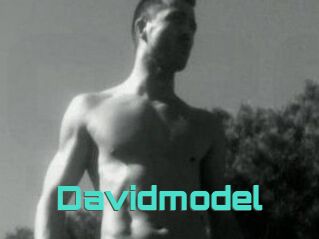 Davidmodel