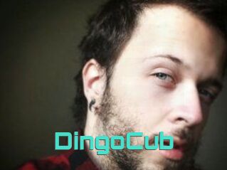 DingoCub