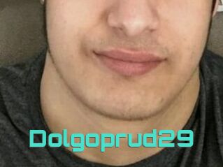 Dolgoprud29