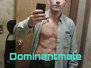 Dominantmale