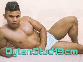 DylanStud19cm