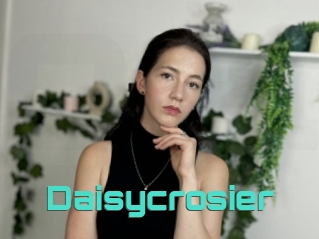 Daisycrosier