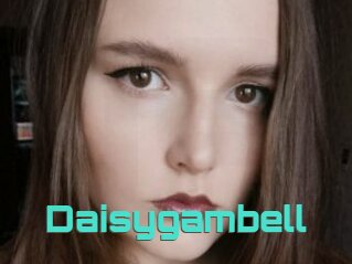 Daisygambell