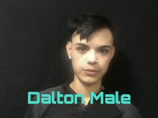 Dalton_Male