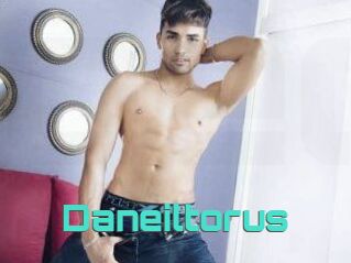 Daneil_torus