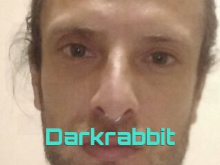 Darkrabbit