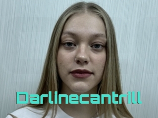 Darlinecantrill