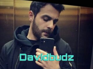 Davidbudz