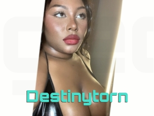 Destinytorn