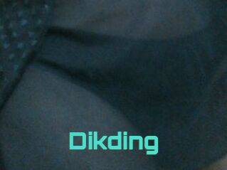 dikding Grizzli Edition