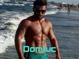 Domluc