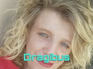 Dragibus