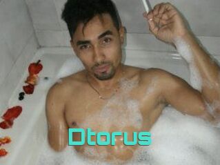 Dtorus