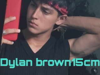 Dylan_brown15cm