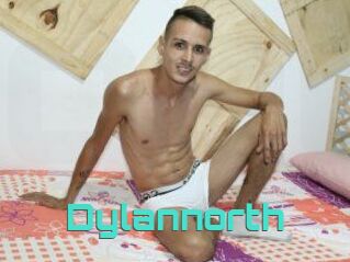 Dylan_north