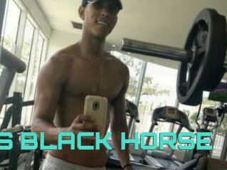 EROS_BLACK_HORSE