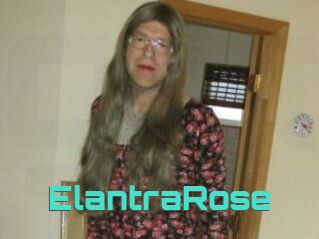 Elantra_Rose