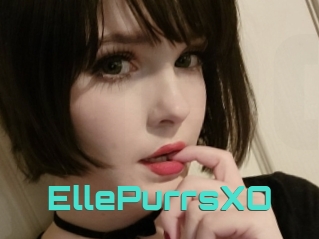 EllePurrsXO