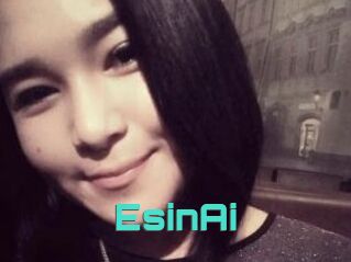 EsinAi