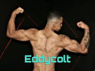 Eddycolt