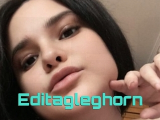 Editagleghorn