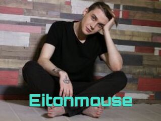 Eitonmouse