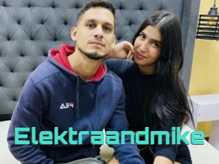 Elektraandmike