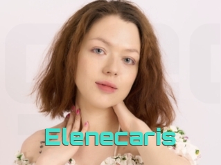 Elenecaris