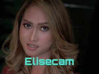 Elisecam