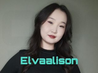 Elvaalison