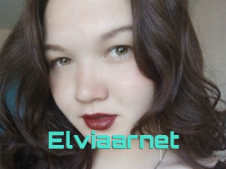 Elviaarnet