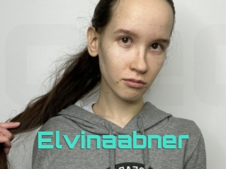 Elvinaabner