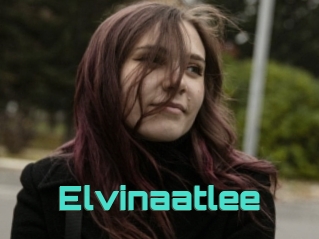 Elvinaatlee