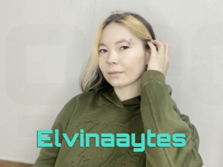 Elvinaaytes