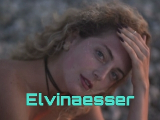 Elvinaesser