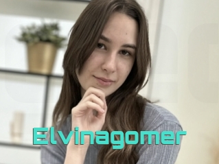 Elvinagomer