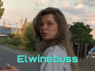 Elwinebuss