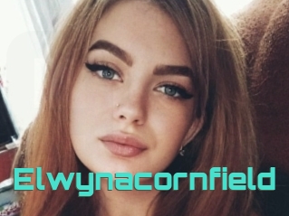 Elwynacornfield