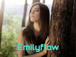 Emilyflow