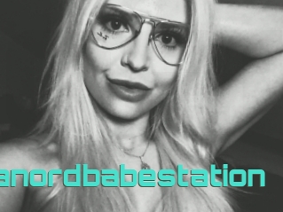 Emmanordbabestation