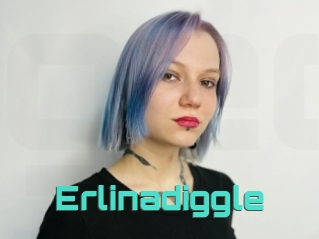 Erlinadiggle