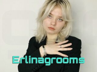 Erlinagrooms