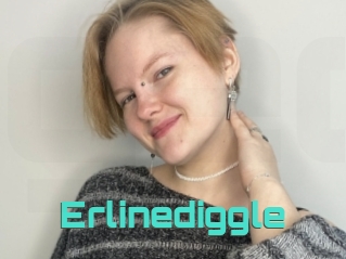 Erlinediggle