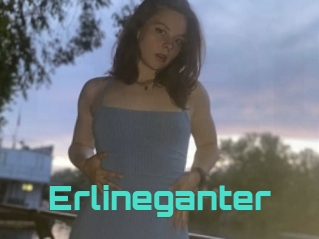 Erlineganter