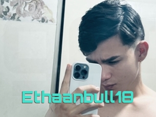 Ethaanbull18