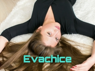 Evachice