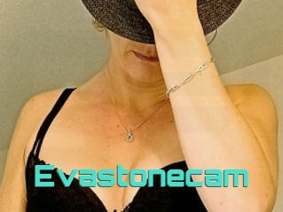 Evastonecam